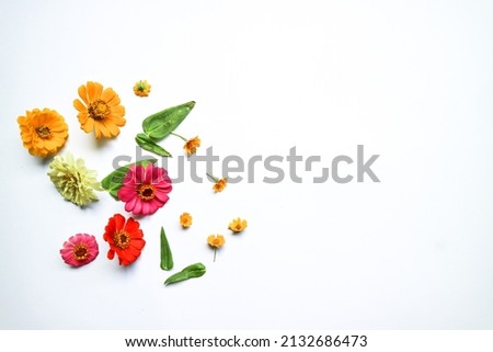 Similar – Tropical flower and palm leaves on white