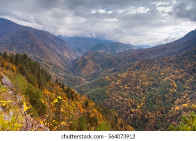 Beautifull autumn in Georgia. - Shutterstock ID 564073912