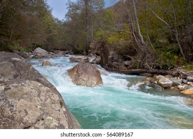 Beautifull autumn in Georgia. A river - Shutterstock ID 564089167
