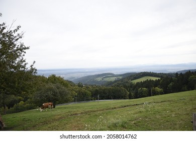 A Beautifull Landscape From A Rode To Mariborsko Pohorje Looking Down On Maribor.