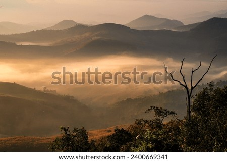 Beautifull Mountain with soft fog scenic sunrise morning at Por Gu Jor Campsite , Mae Jam , ChiengMai, Thailand