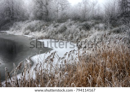 Similar – Image, Stock Photo quiet winter landscape