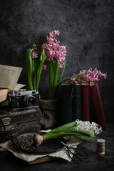 Beautifully Blooming Hyacinths, An Old Camera, Old Books, Still Life.