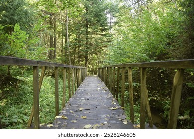 A beautifully crafted wooden bridge situated in the middle of a dense forest - Powered by Shutterstock