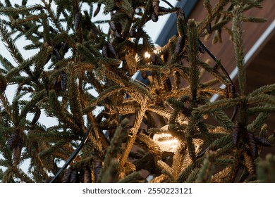 Beautifully Decorated Pine Tree with Warm String Lights and Pine Cones. - Powered by Shutterstock