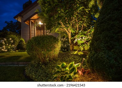 Beautifully Illuminated Backyard of Residential House. Landscape Garden with Ambient Lighting System Installation Highlighting Plants. Wooden Shed in the Background.