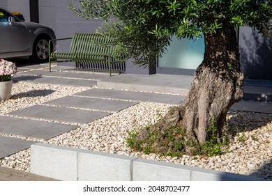 Beautifully Landscaped Front Garden With Decorative Chippings And An Olive Tree