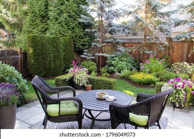 Beautifully landscaped small Canadian garden in summer. Blue spruces, hosta, astilbes and azaleas are just some of the many plants in this cozy little backyard. 