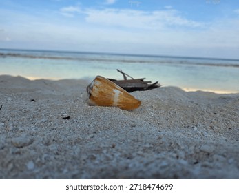 A beautifully patterned conical seashell sits centered on the soft, undisturbed white sand, drawing the viewer's eye. The vast expanse of the sparkling blue ocean and the distant horizon serve as a serene backdrop, creating a sense of openness and tranquility. This image perfectly encapsulates the quiet allure of a tropical beach, inviting contemplation and peace.