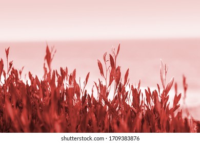 かっこいい風景 High Res Stock Images Shutterstock