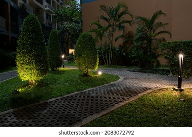 Beautifully trimmed bushes grow along the path at night.