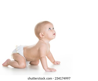 Beauty Baby On White Background