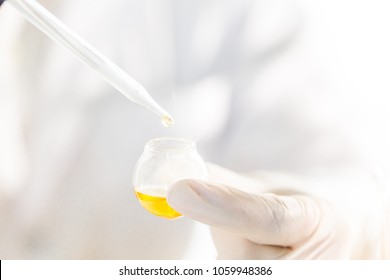 Beauty background, scientist is sampling orange extract from organic natural, research and develop background, Scientific concept is sample project about herbal medicine for health & beauty care.