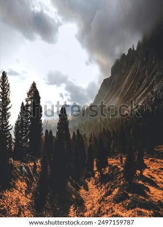 Similar – Image, Stock Photo …. ………………. | Antholz [17]