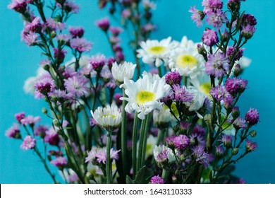 Beauty bouquet of white and purple daisy flowers  - Shutterstock ID 1643110333