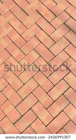 The beauty of brown floor bricks on a  sunny day. 