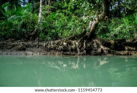 The beauty of Cigenter River, at Handeuleum island, Ujung Kulon National Park, Indonesia