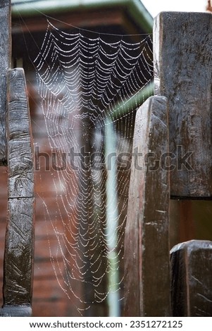 Similar – Image, Stock Photo Sandy Cheeks Environment