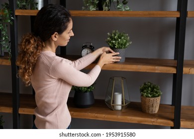 Beauty is in details. Enthusiastic young latin lady interior decorator arrange house plants on wood shelf prepare domestic design at modern flat office studio. Smiling woman owner make home feel cozy