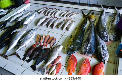 Beauty Of Exotic Island - Maldives. Fish Market In Male