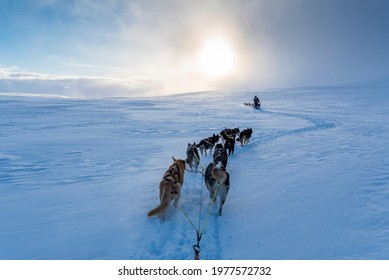 The Beauty Of Finland Lapland Winter Spring