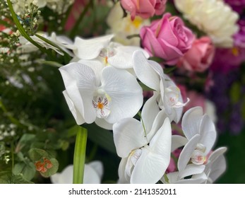 The Beauty Of The Flowers. Wide Range Of Colors Nature Of Plastic Flowers White Flower Background, Creating A Natural Pattern A Different Color Of Plastic.             