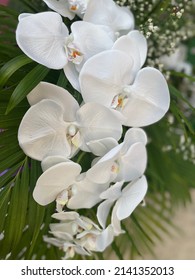 The Beauty Of The Flowers. Wide Range Of Colors Nature Of Plastic Flowers White Flower Background, Creating A Natural Pattern A Different Color Of Plastic.             