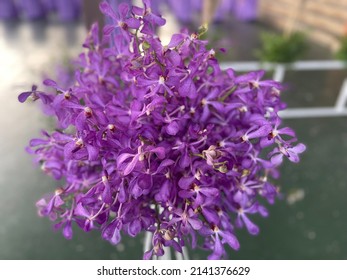 The Beauty Of The Flowers. Wide Range Of Colors Nature Of Plastic Flowers White Flower Background, Creating A Natural Pattern A Different Color Of Plastic.             