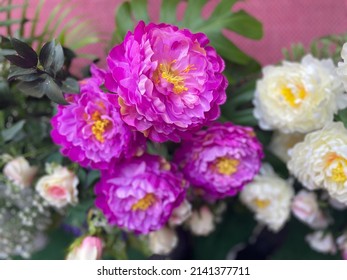 The Beauty Of The Flowers. Wide Range Of Colors Nature Of Plastic Flowers White Flower Background, Creating A Natural Pattern A Different Color Of Plastic.             