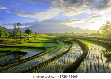 the beauty of the foggy morning panorama with sunrise and rice fields in Bengkulu