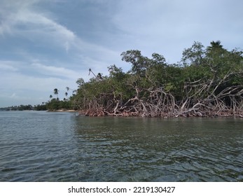 The Beauty Of The Guanica City 