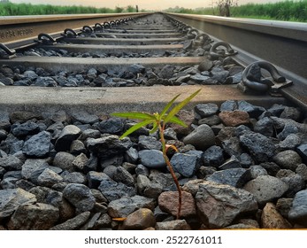 Beauty HD background small green plant sprouts between the stones on a railroad track, symbolizing resilience against the industrial surroundings. The sky is calm, with greenery in the background. - Powered by Shutterstock