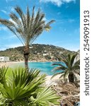 the beauty of ibiza island