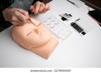 A beauty mannequin training head with a woman practicing lash extension techniques. Training eyelash extensions concept. Copy space