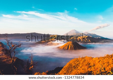 The beauty of mount Bromo in East Java, Indonesia