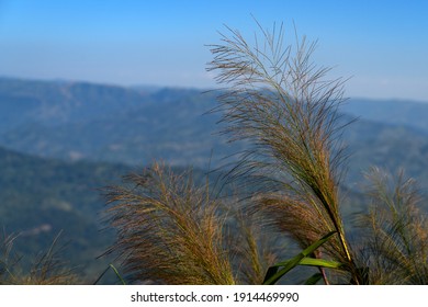 The Beauty Of Mountain In Chittagong Hill Tracts