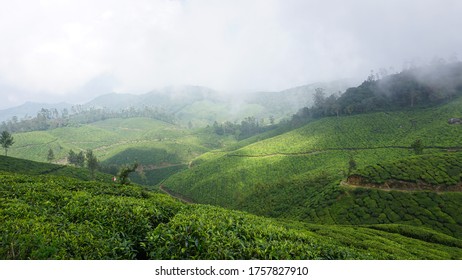 Beauty Munnar Hill Top View Stock Photo 1757827910 | Shutterstock