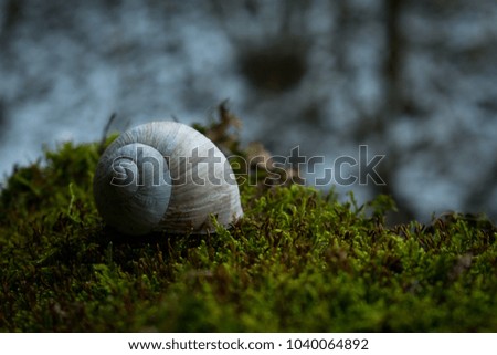 Similar – Ein Tag am Meer III Ostsee