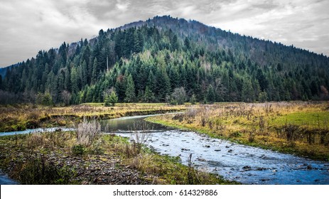 Beauty Nature Forest Landscape