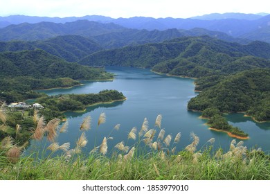 Tanyao High Res Stock Images Shutterstock
