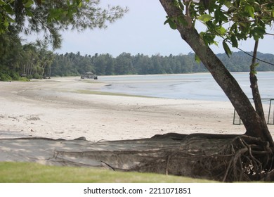 The Beauty Of Nature On A Quiet Beach