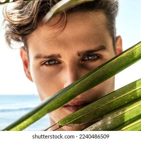 Beauty portrait of handsome young man on the tropical beach, looking at the camera through green palms leaf.