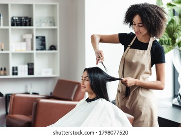 Beauty procedures for hair. Young black hairdresser cutting hair of female customer at salon, free space