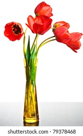 Beauty Red Tulips In Vase