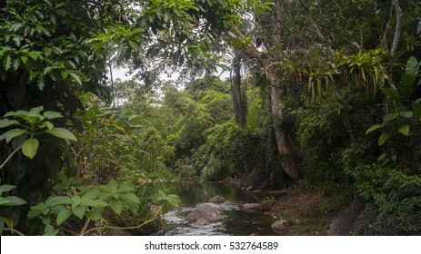 Beauty River Flows In The Tropical Forest Of Brazil