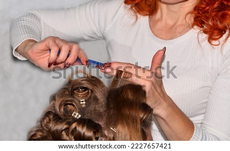 In a beauty salon  a professional worker does  hair styling work with  a client girl