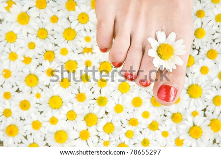 Beauty spa - feet care, pedicure, chamomile