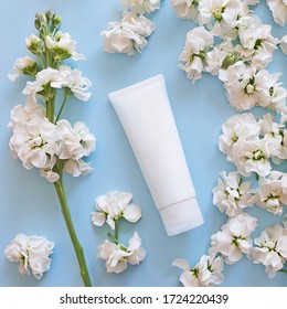 Beauty Spa Medical Skincare And Cosmetic Lotion Bottle Cream Packaging Product On On A Pale Blue Background With White Flowers. Overhead View. Floral Flat Lay, Life Style. Clean Beauty Concept