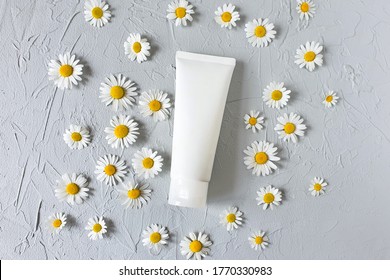 Beauty Spa Medical Skincare And Cosmetic Lotion Bottle Cream Packaging Product On Gray Background With Camomiles. Overhead View. Floral Flat Lay, Lifestyle. Clean Organic Beauty Concept. Mock-up.