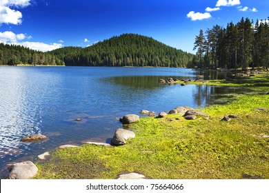 beauty sunny day on the lake - Powered by Shutterstock